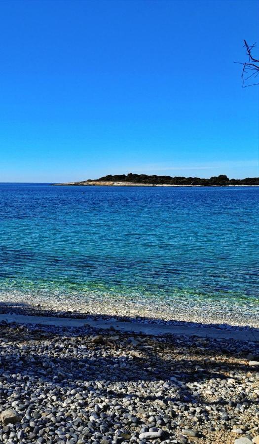 Black Pearl - Luxury Seaside App With Pool & Bbq, Istra Banjole Extérieur photo