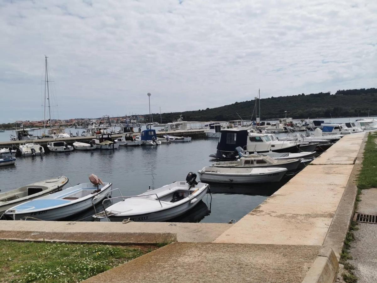 Black Pearl - Luxury Seaside App With Pool & Bbq, Istra Banjole Extérieur photo