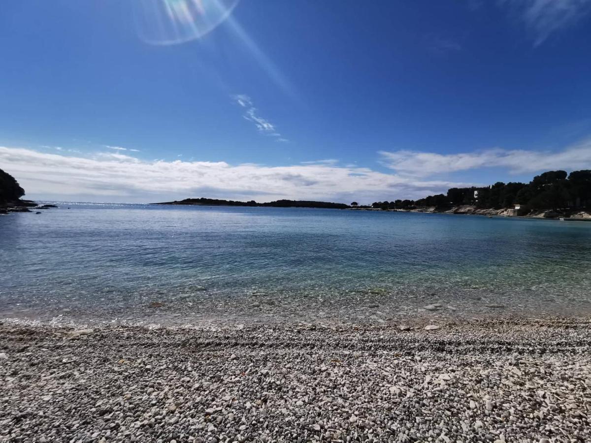 Black Pearl - Luxury Seaside App With Pool & Bbq, Istra Banjole Extérieur photo