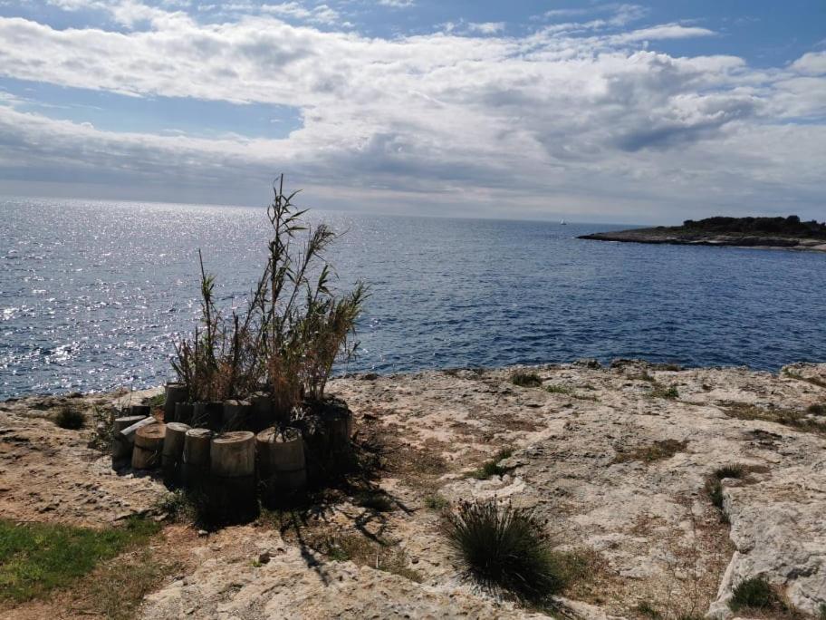 Black Pearl - Luxury Seaside App With Pool & Bbq, Istra Banjole Extérieur photo