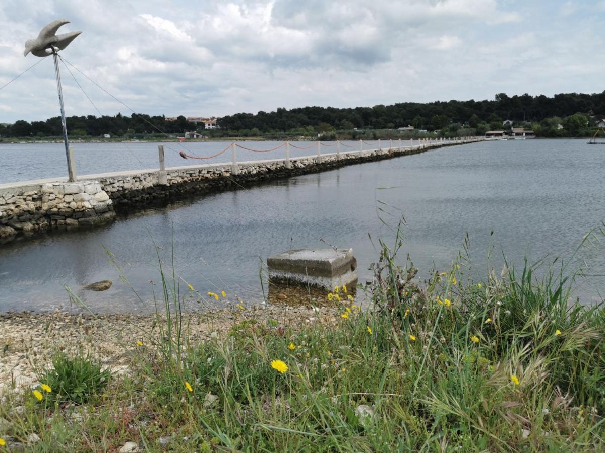 Black Pearl - Luxury Seaside App With Pool & Bbq, Istra Banjole Extérieur photo
